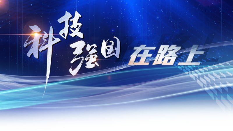 数据可视化图表类型解析：优缺点与适用场景